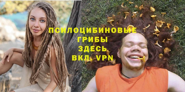 индика Балабаново