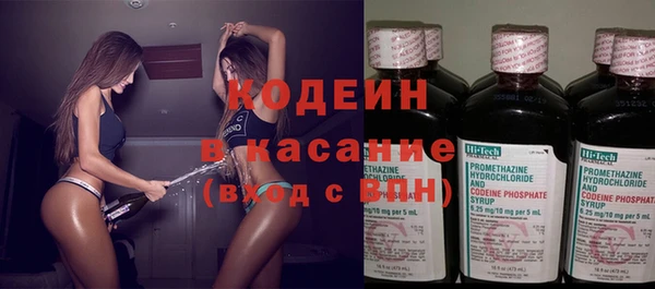 индика Балабаново