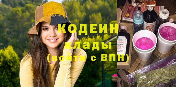 индика Балабаново